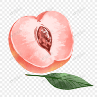 九一视频下载APP应用